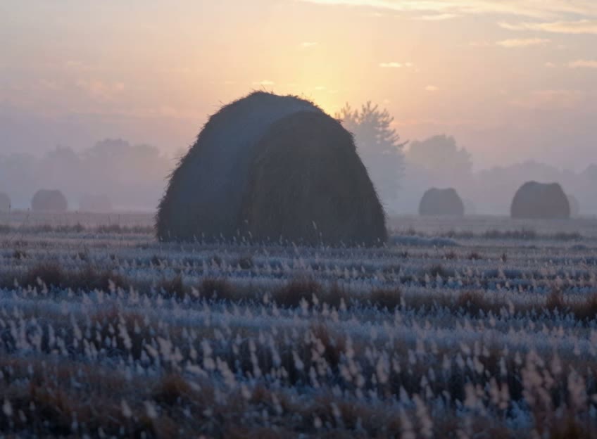 Imagined scenes rendered in stunning detail